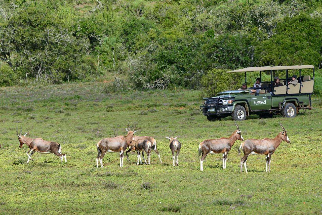 Shamwari Eagles Crag Villa Port Elizabeth Exterior photo