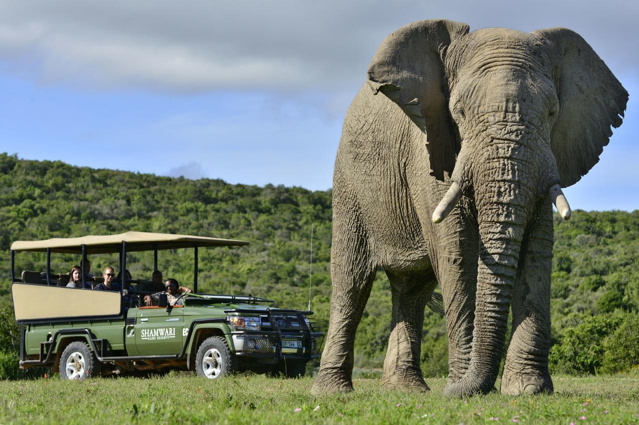 Shamwari Eagles Crag Villa Port Elizabeth Exterior photo